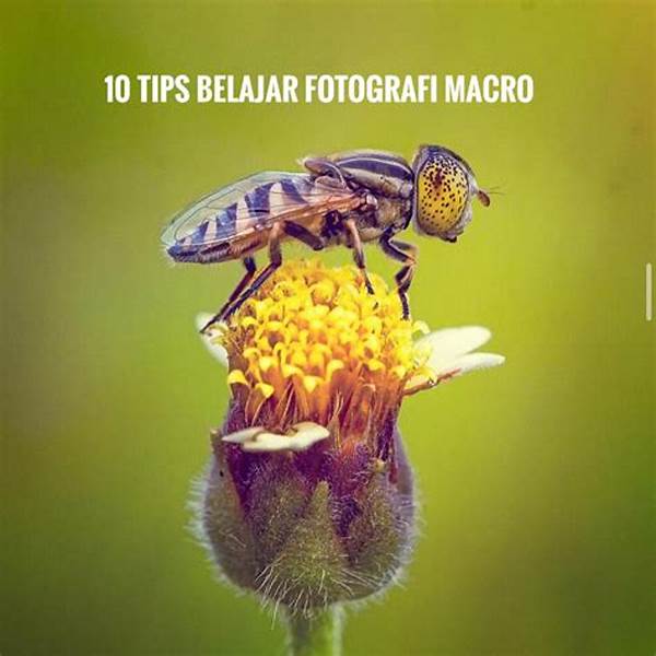 Mekanisme Autofocus Foto Makro
