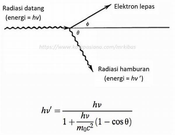 Interaksi Sinar Matahari Dengan Tanah