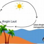 Kesejukan Angin Laut Di Senja Hari