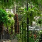 Konsep Foto Udara Menawan