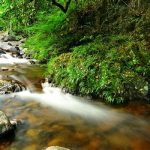 Manfaat Pencahayaan Di Aliran Sungai