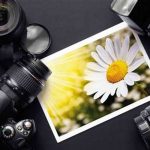Mendalami Seni Bayangan Fotografi