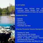 Pelestarian Ekosistem Darat Dan Laut