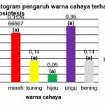 Pengaruh Intensitas Cahaya Lingkungan