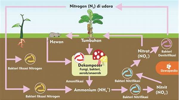 Pengaruh Nitrogen Pada Ekosistem