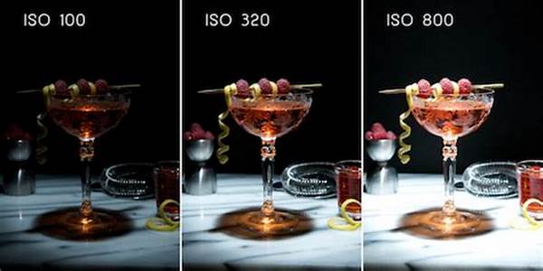 Pengaturan Iso Untuk Fotografi Drone