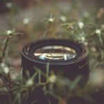 Peralatan Makro Fotografi Bunga