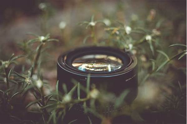 Peralatan Makro Fotografi Bunga