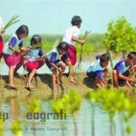 Peran Masyarakat Dalam Pelestarian Lingkungan