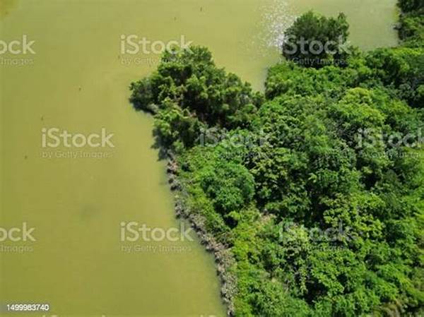 Perspektif Unik Dari Fotografi Udara