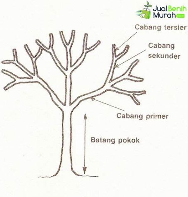 Teknik Framing Dari Cabang Pohon