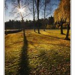 Tips Memotret Dengan Framing Alami