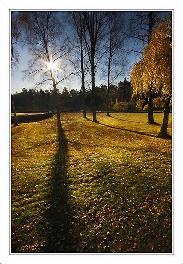Tips Memotret Dengan Framing Alami