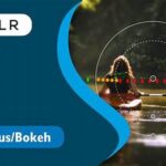 “efisiensi Fokus Otomatis Fotografi”