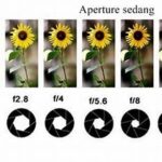 Fokus Tajam Dengan Kombinasi Aperture Tepat