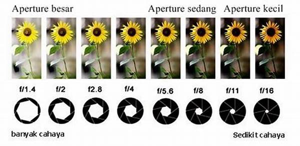 Fokus Tajam Dengan Kombinasi Aperture Tepat