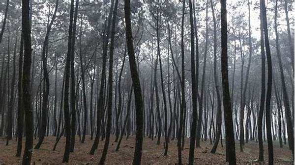 Fotografi Dengan Panduan Garis