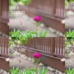 Kombinasi Iso Untuk Foto Spontan