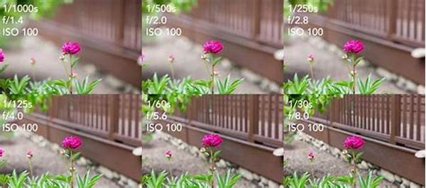 Kombinasi Iso Untuk Foto Spontan