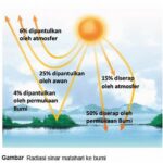 **pengaruh Sinar Matahari Pada Kehidupan**