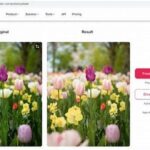 Teknologi Koreksi Warna Real-time