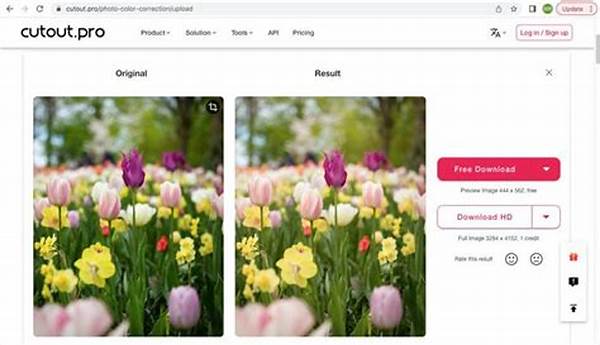 Teknologi Koreksi Warna Real-time