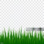 Komposisi Warna Alamiah Rumput