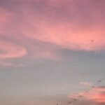 Memadukan Warna Langit Dan Tanah Saat Senja