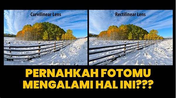 Menghindari Distorsi Dalam Gambar Udara