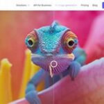 Software Pengolah Foto Praktis