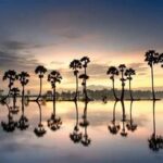 Solusi Kreatif Refleksi Gambar