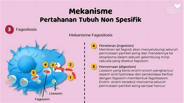 Cahaya Matahari Dan Sistem Kekebalan Tubuh