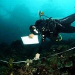 Inovasi Digital Pemantauan Terumbu Karang