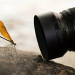 Manfaat Lensa Makro Otomatis Dalam Fotografi
