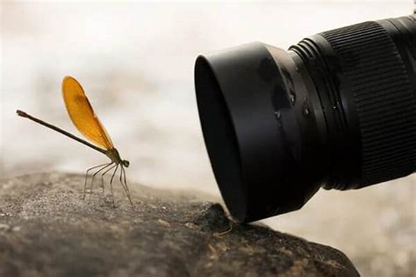 Manfaat Lensa Makro Otomatis Dalam Fotografi