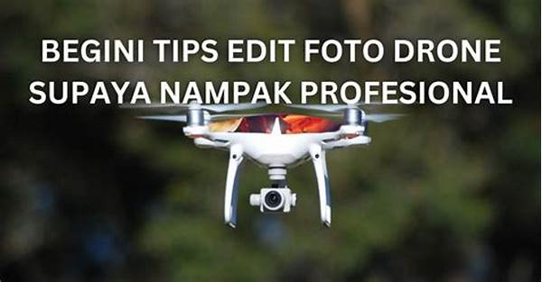 Mengedit Foto Udara Secara Efektif