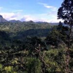 Perspektif Baru Dari Ketinggian