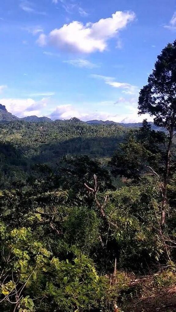 Perspektif Baru Dari Ketinggian
