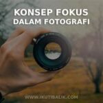 Strategi Fokus Otomatis Dalam Fotografi