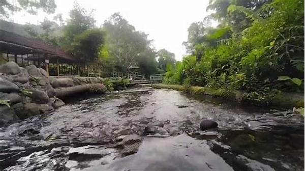 Sungai Mengalir Jernih Alami