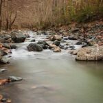 Sungai Mengalir Tanpa Warna