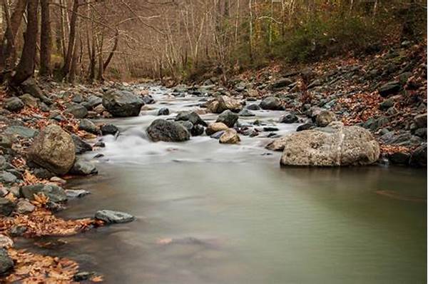 Sungai Mengalir Tanpa Warna