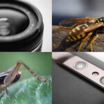 Teknik Fokus Makro Untuk Fotografi