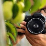 Tips Menghasilkan Foto Aerial Memukau