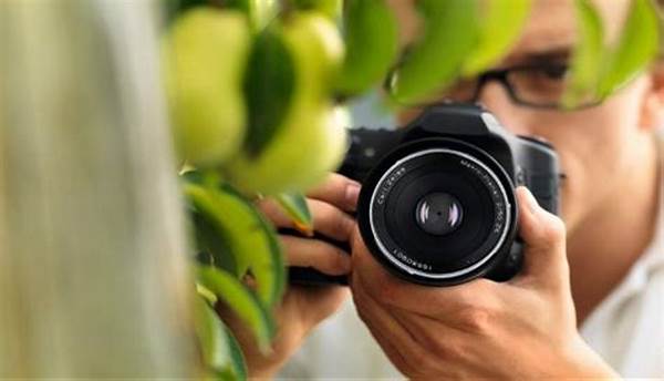 Tips Menghasilkan Foto Aerial Memukau