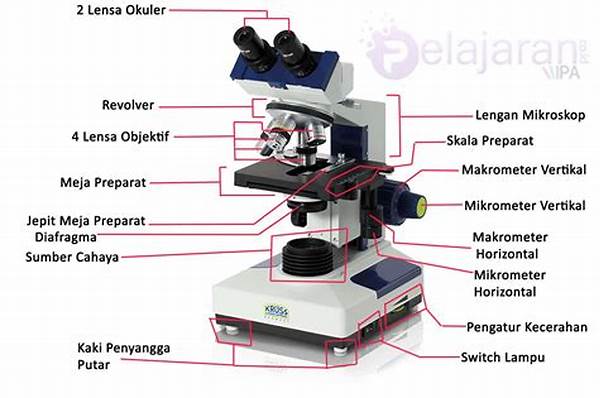 Panduan Lengkap Makro Cahaya Natural