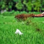 Pertanian Berkelanjutan Dan Organik