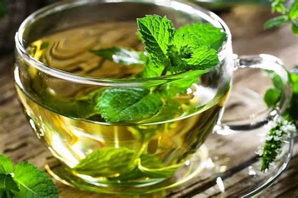 Teh Herbal Untuk Kecantikan Kulit Sehat